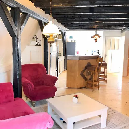 Joels Luxus Lounge Mit Sauna, Bar & Wirlpool In Apartamento Steinhude